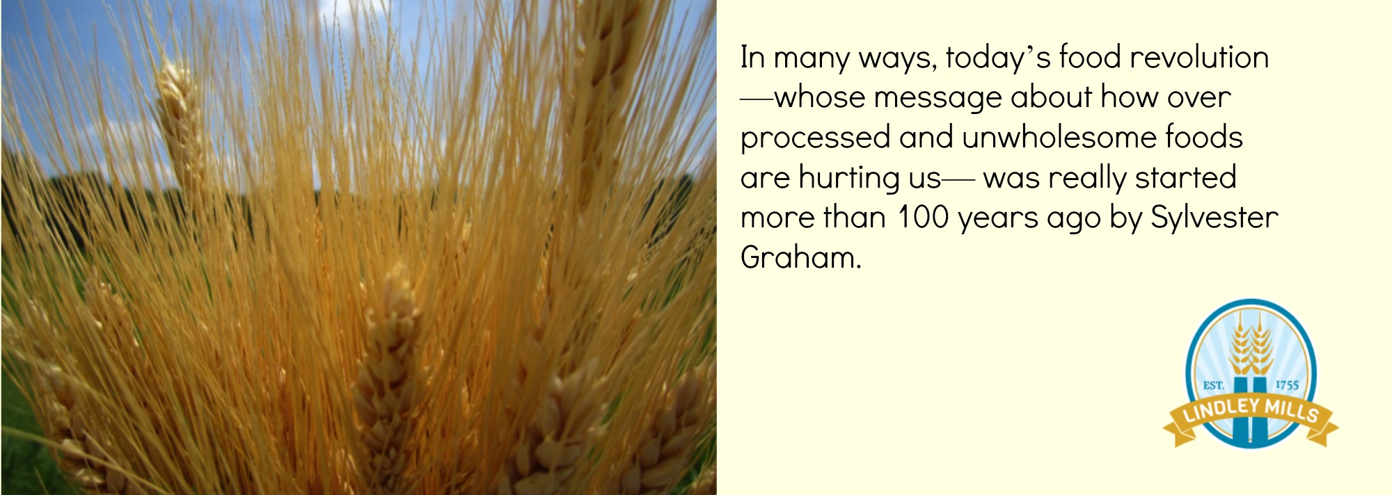 Whole Grain Revolution