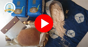 youtube bake sprouted wheat bread